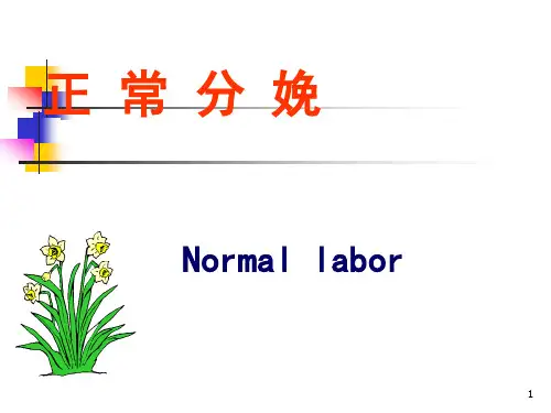 正常分娩 妇产科ppt课件