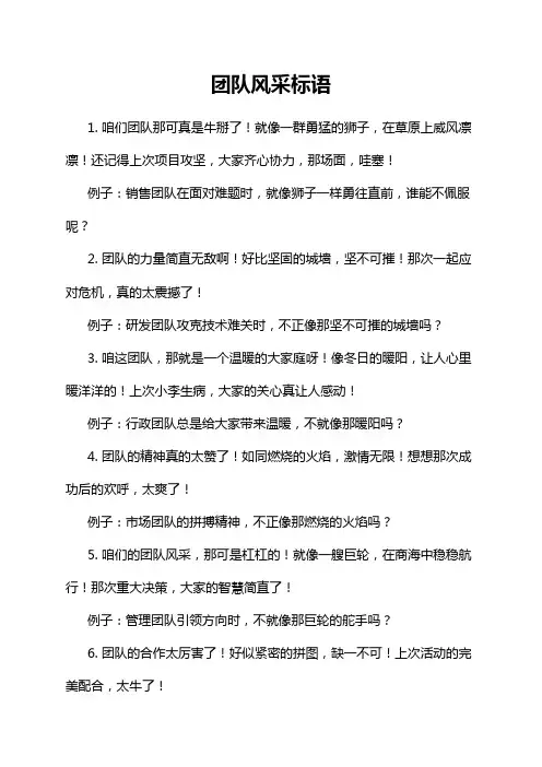 团队风采标语
