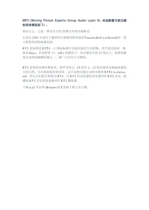 mp3是什么东西