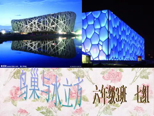 鸟巢与水立方