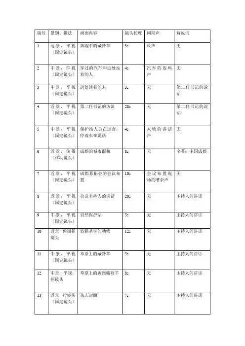 分镜头(20分钟到40分钟)稿本