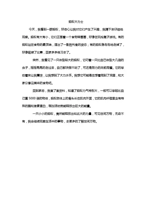 蚂蚁大力士