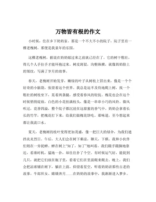 万物皆有根的作文