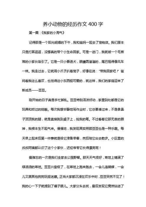 养小动物的经历作文400字