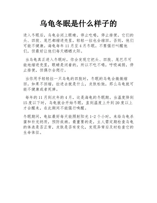 乌龟冬眠是什么样子的
