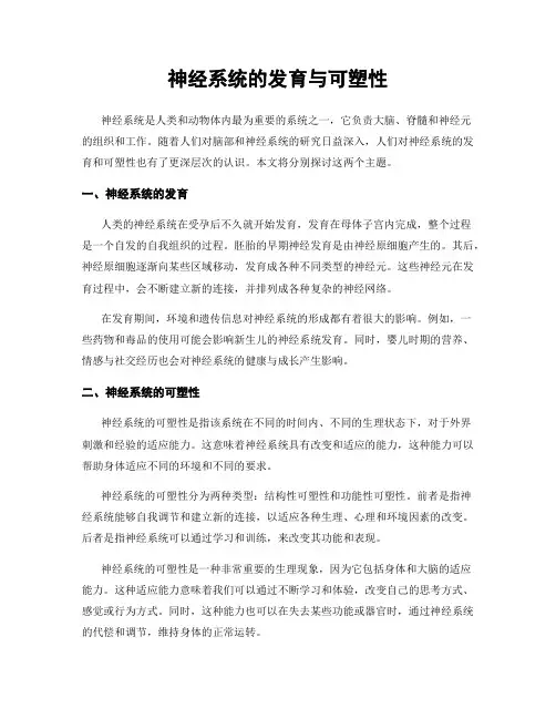 神经系统的发育与可塑性