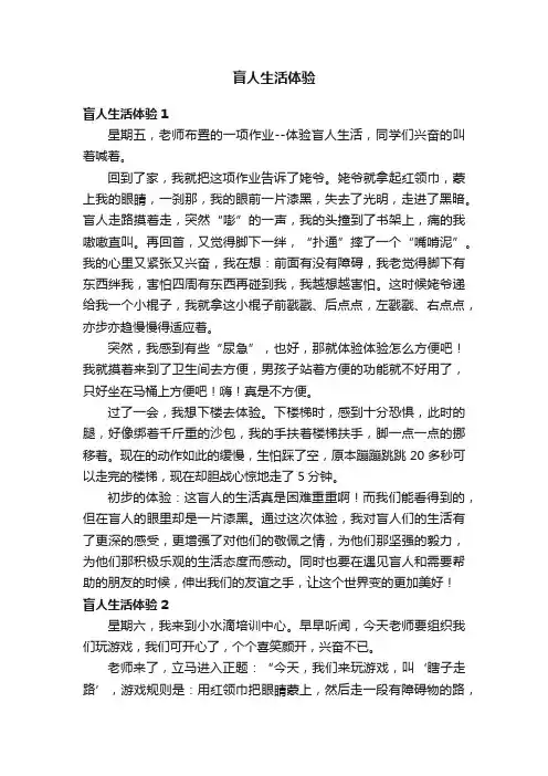 盲人生活体验