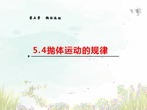 物理人教版(2019)必修第二册5.4抛体运动的规律(共38张ppt)