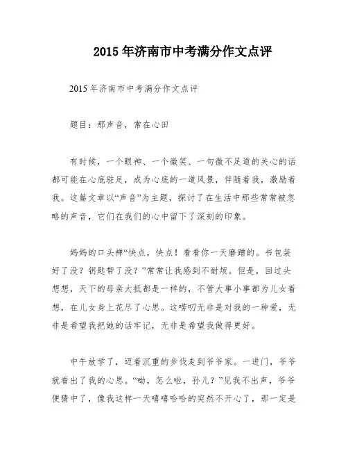 2015年济南市中考满分作文点评