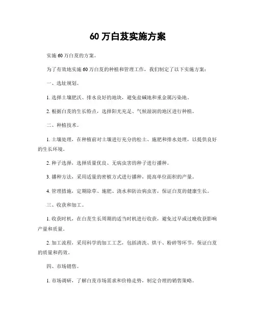 60万白芨实施方案