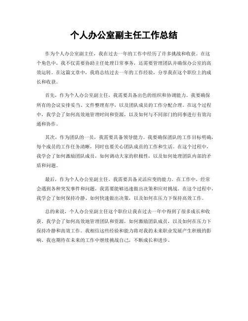 个人办公室副主任工作总结