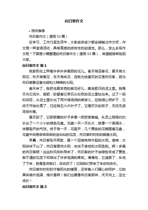 向日葵作文