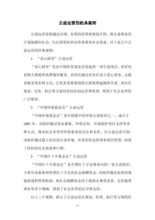 公益运营的经典案例