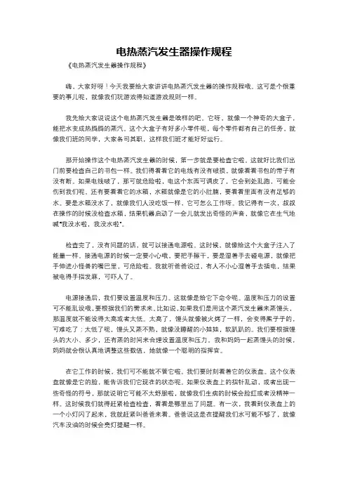 电热蒸汽发生器操作规程