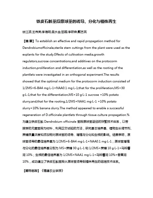 铁皮石斛茎段原球茎的诱导、分化与植株再生