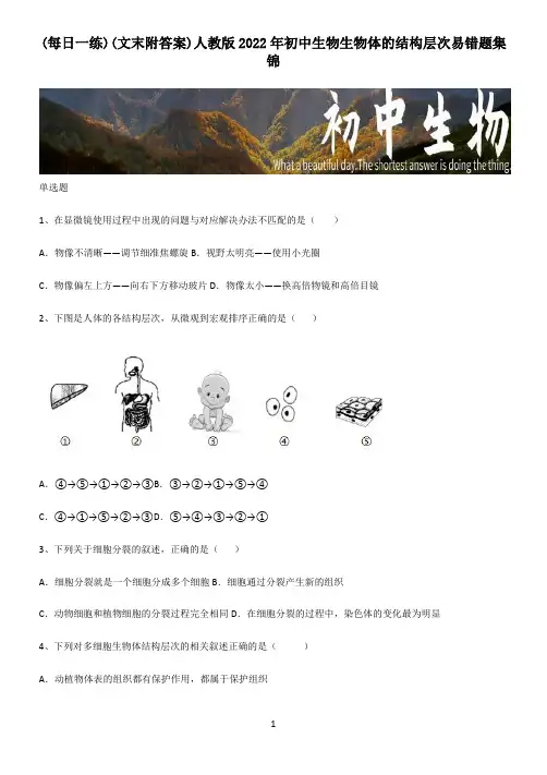 (文末附答案)人教版2022年初中生物生物体的结构层次易错题集锦