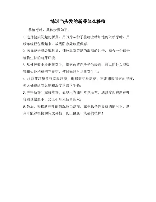 鸿运当头发的新芽怎么移植