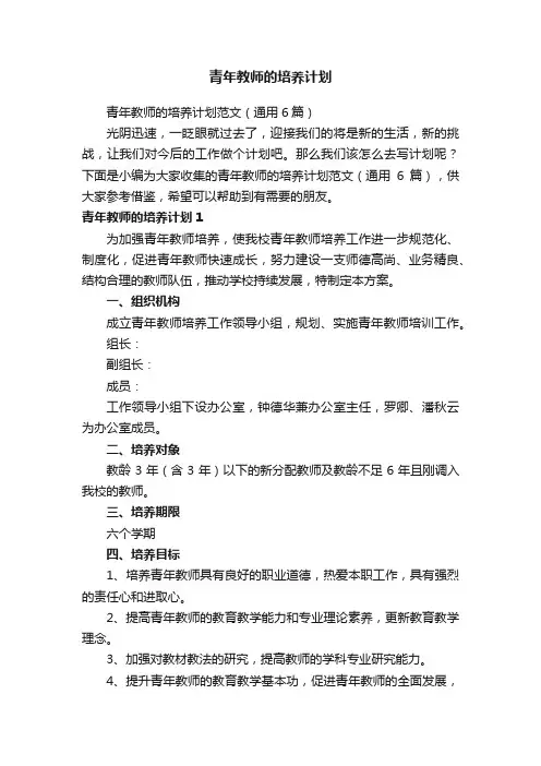 青年教师的培养计划