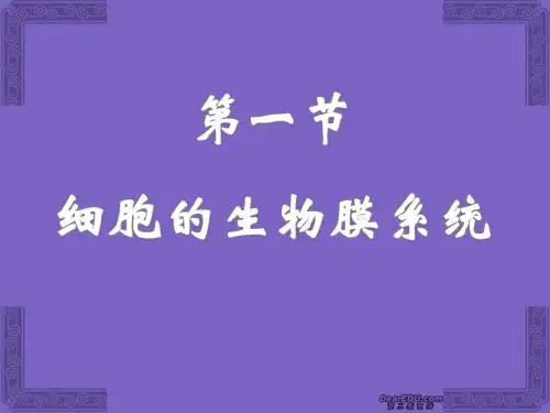细胞的生物膜系统