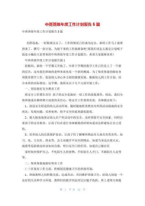 中班班级年度工作计划报告5篇