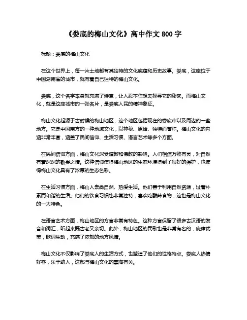 《娄底的梅山文化》高中作文800字