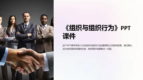《组织与组织行为》课件