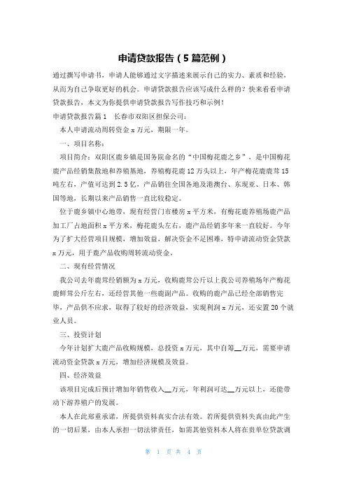 申请贷款报告(5篇范例)