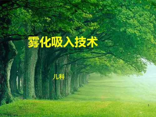 雾化吸入法ppt课件