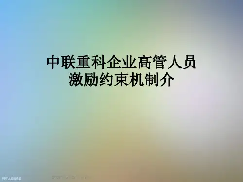 中联重科企业高管人员激励约束机制介
