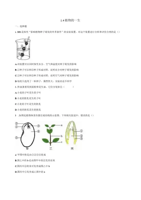 1.4植物的一生同步练习(含答案)公开课教案教学设计课件资料