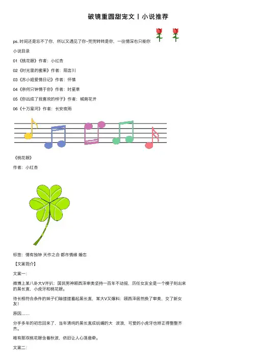 破镜重圆甜宠文丨小说推荐