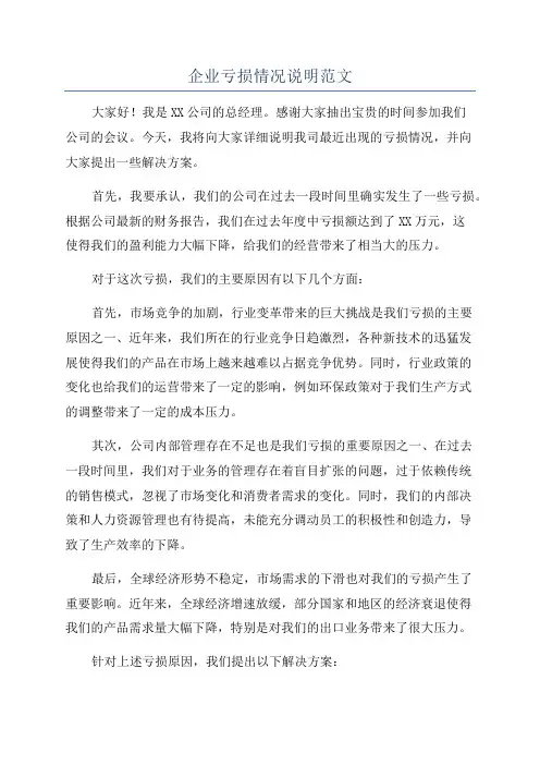 企业亏损情况说明范文