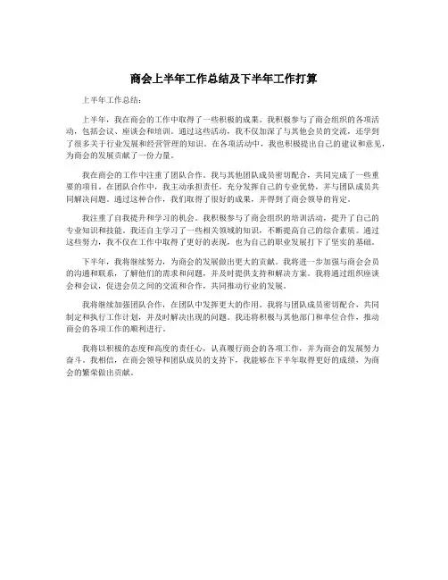 商会上半年工作总结及下半年工作打算