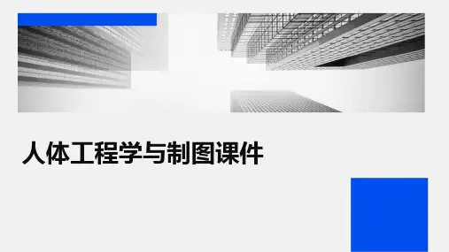 人体工程学与制图课件