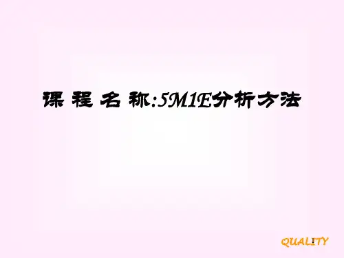 5M1E分析方法ppt课件