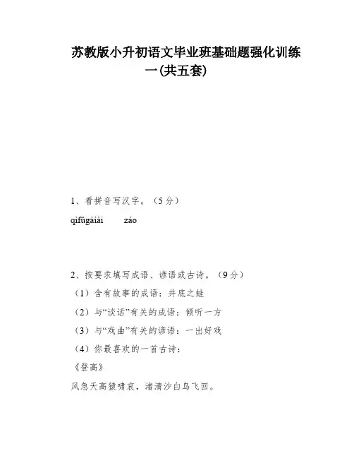 苏教版小升初语文毕业班基础题强化训练一(共五套)