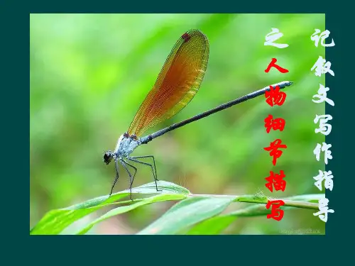 人物描写细节描写公开课课件