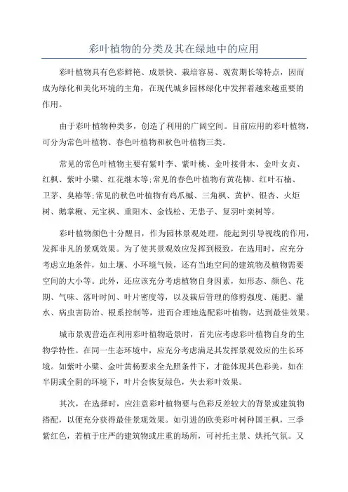 彩叶植物的分类及其在绿地中的应用