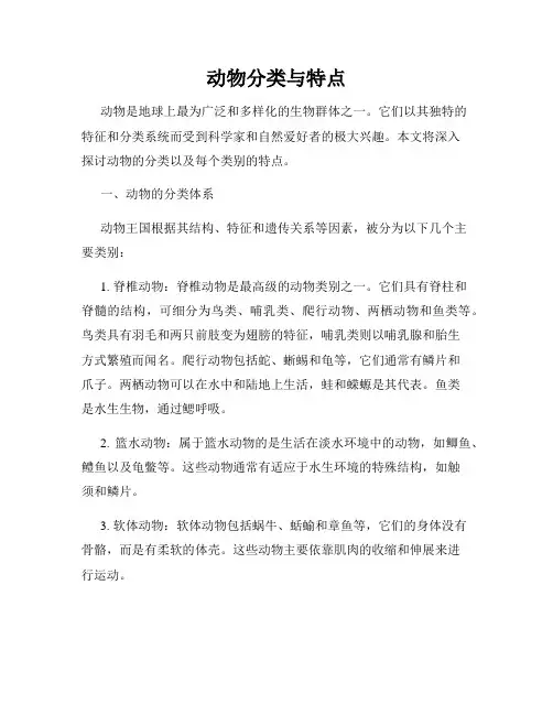 动物分类与特点