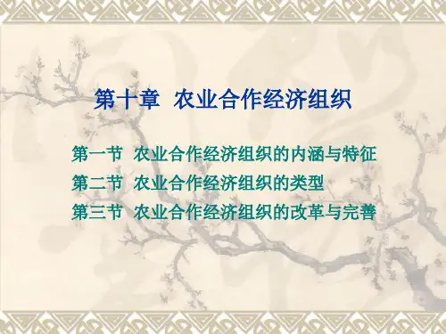 第十章 农业合作经济组织