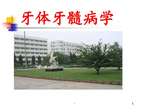 牙体牙髓病学PPT课件