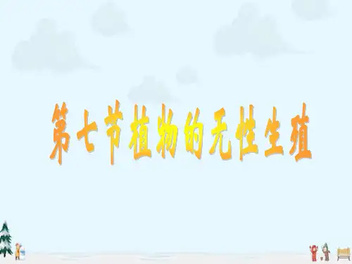 中小学优质课件植物的无性生殖课件.ppt