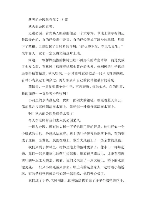 中小学秋天的公园优秀作文15篇