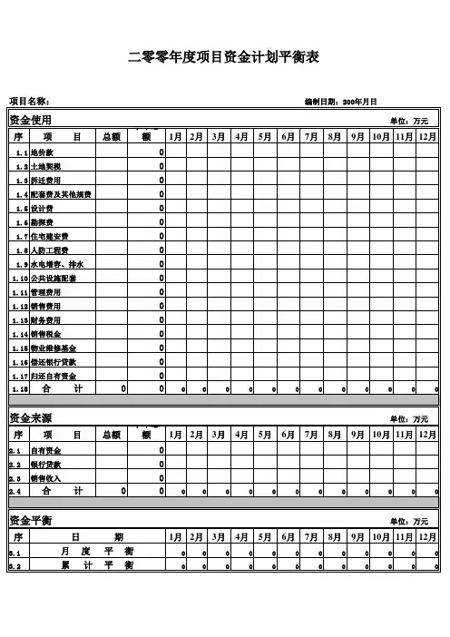 项目资金计划平衡表