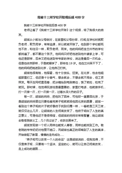 我被十三所学校开除观后感400字
