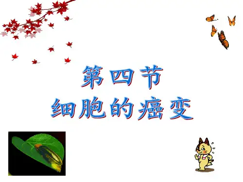 高中部高中生物必修一：第六章第四节细胞的癌变