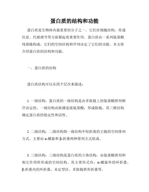 蛋白质的结构和功能