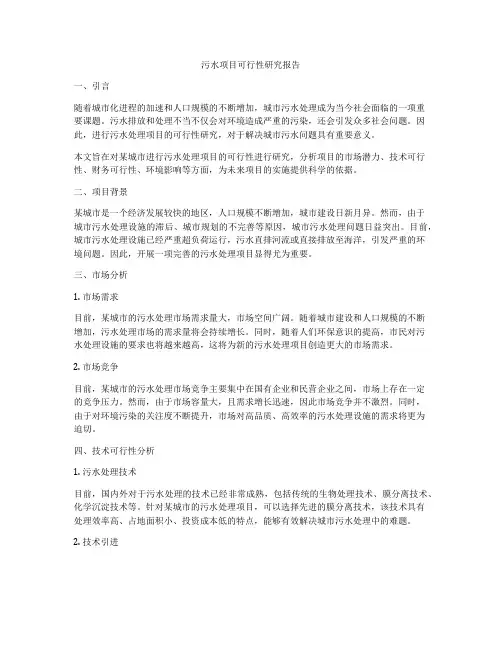 污水项目可行性研究报告