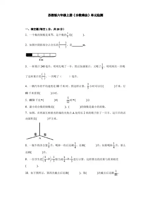 苏教版小学数学六年级上《分数乘法》单元检测【含答案】