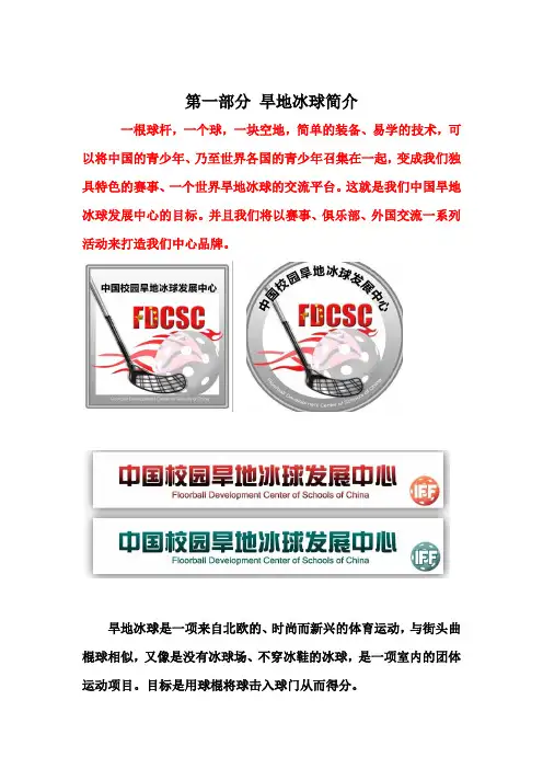 中国旱地冰球的发展